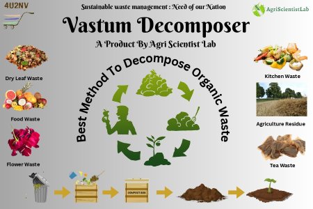 Vastum Decomposer
