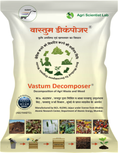 Vastum Decomposer